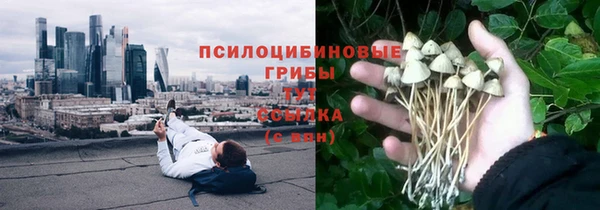 а пвп мука Алзамай